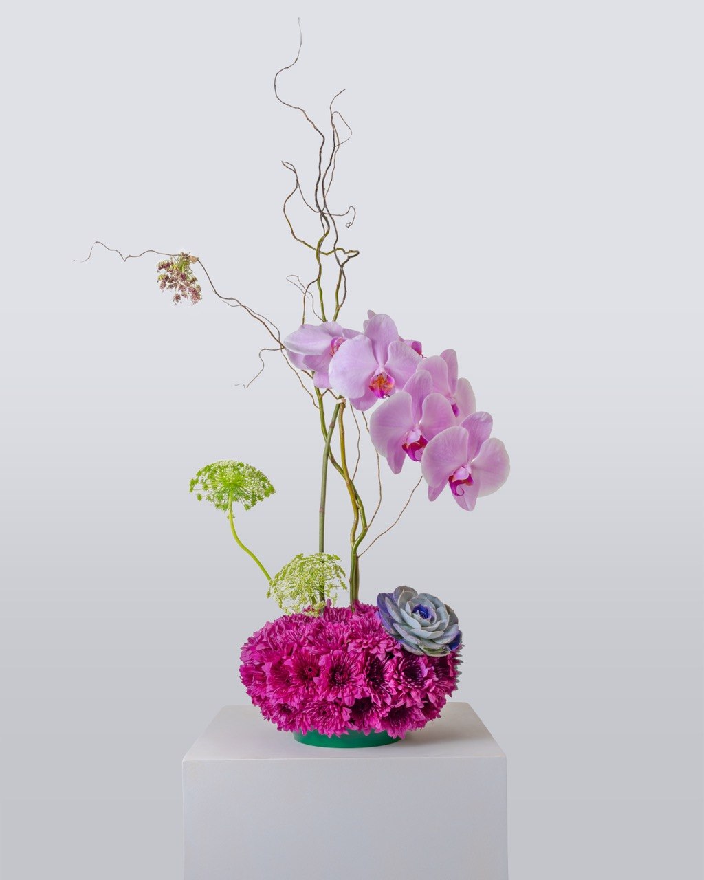 The symbol of refined elegance explore our exclusive Orchid Collection, where beauty meets timeless design