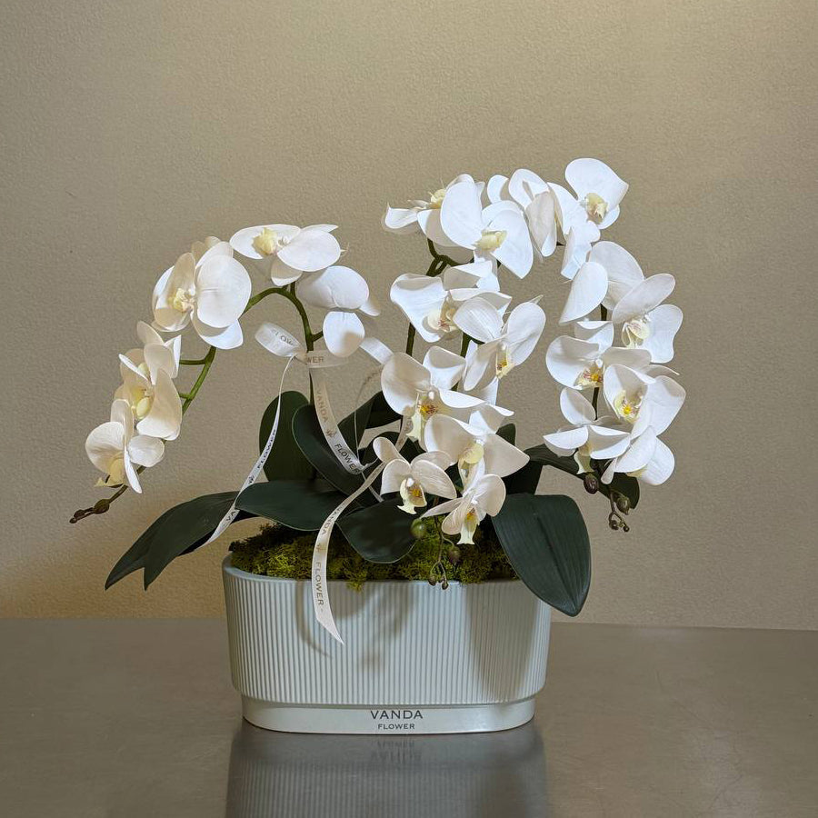  Discover everlasting elegance with our Artificial Orchids, meticulously crafted to mirror the grace and sophistication of real blooms.