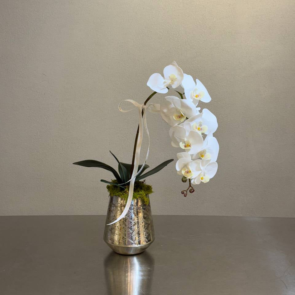 A graceful single-stem white orchid in a textured silver vase – chic, compact, and forever in bloom.
